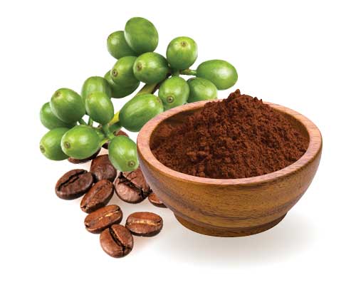 zöld kávébab ár fogyás 65 év felett